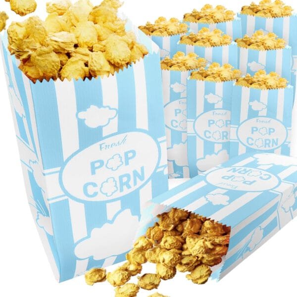 Popcorn Party Bags